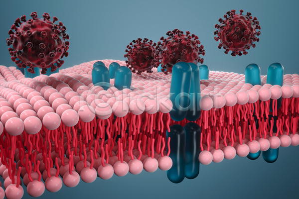 사람없음 3D JPG 해외이미지 바이러스 세포 세포막 의학 파란색