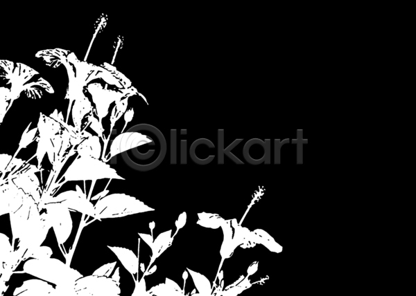 사람없음 JPG 실루엣 일러스트 포토 해외이미지 흑백 개화 검은색 그래픽 꽃 꽃무늬 내추럴 디자인 모양 백그라운드 벚꽃 봄 식물 어둠 이국적 잎 자연 장례 정원 하늘 히비스커스