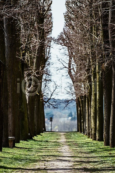 사람없음 JPG 포토 가로수 공원 나무 야외 유럽 유럽풍경 자연 주간 파리(프랑스) 풍경(경치) 프랑스 해외풍경