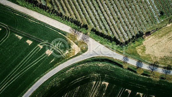 사람없음 JPG 포토 항공촬영 갈림길 농장 도로 시골 야외 유럽 유럽풍경 자연 주간 풍경(경치) 프랑스 해외풍경