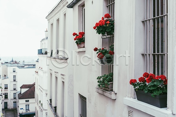 고요 사람없음 JPG 포토 건물 도시풍경 야외 유럽 유럽풍경 자연 주간 주택가 창가 파리(프랑스) 풍경(경치) 프랑스 해외풍경 화분