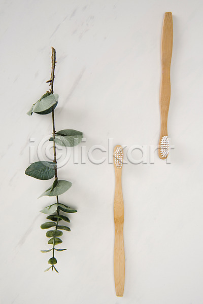 사람없음 JPG 포토 하이앵글 나뭇가지 두개 스튜디오촬영 실내 오브젝트 잎 칫솔 플랫레이 흰배경