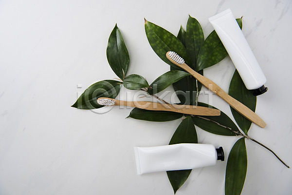 사람없음 JPG 포토 하이앵글 나뭇잎 두개 스튜디오촬영 실내 오브젝트 치약 칫솔 플랫레이 흰배경