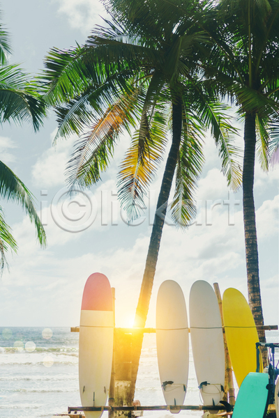 사람없음 JPG 포토 해외이미지 서핑보드 야외 야자수 여름(계절) 여름풍경 주간 하늘 해변 햇빛
