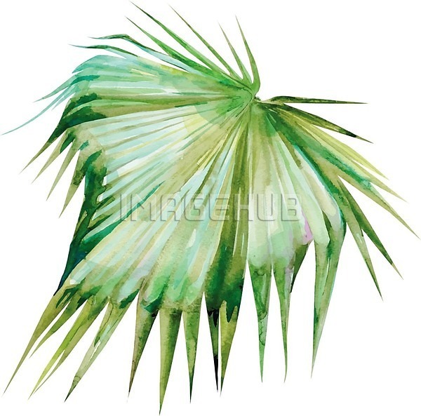 사람없음 EPS 일러스트 해외이미지 그림 번짐 붓터치 수채화(물감) 식물 야자수잎
