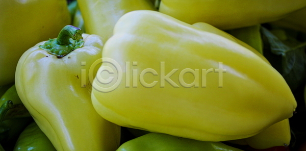 성장 신선 사람없음 JPG 포토 해외이미지 건강 내추럴 노란색 농업 라이프스타일 배너 보스니아 수확 숙성 야외 원예 유기농 음식 자연 정원 채소 큼 피망 해외포토 후추
