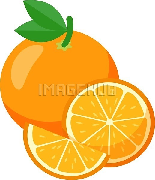 사람없음 EPS 일러스트 해외이미지 오렌지 주황색
