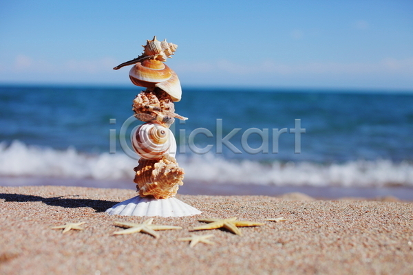 사람없음 JPG 아웃포커스 포토 해외이미지 모래 불가사리 야외 여름(계절) 조개껍데기 주간 해변