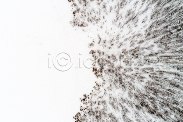 추위 사람없음 JPG 포토 해외이미지 가장자리 경계선 나무 눈내림 드론 밭 벌거벗은 서리 숲 안테나 자연 자작나무 정상 풍경(경치) 황무지 흰색