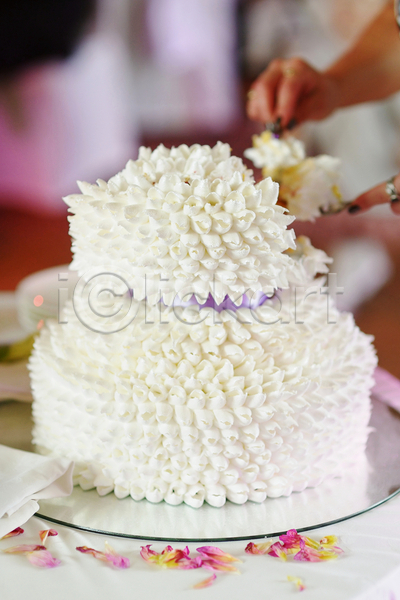 사람없음 JPG 포토 해외이미지 결혼 꽃 생크림 웨딩케이크 장식 케이크 흰색