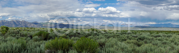침묵 사람없음 JPG 포토 해외이미지 계곡 공원 구름(자연) 그리너리 나무 내추럴 매머드 미국 반사 밭 사막 산 야외 여행 자연 초록색 캘리포니아 컬러풀 풍경(경치) 하늘 하이킹 호수 환경 황무지 휴가