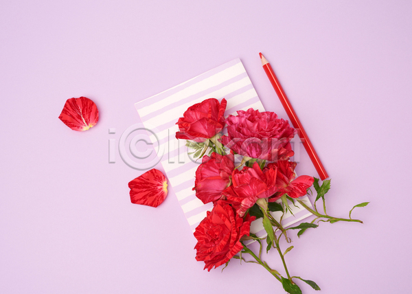 사람없음 JPG 포토 해외이미지 꽃 꽃잎 색연필 오브젝트 장미 종이