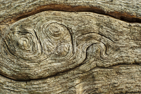 사람없음 JPG 포토 해외이미지 갈색 거친 균열 나무 나무껍질 날씨 목재 묘사 백그라운드 벽지 복고 수목 수확 숲 십자가 옛날 우주 원형 자연 잡동사니 질감 추상 통나무 판넬 패턴 표면 회색 흰색