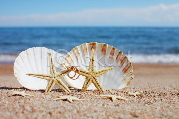 사람없음 JPG 포토 해외이미지 결혼반지 모래 불가사리 야외 여름(계절) 조개껍데기 주간 해변