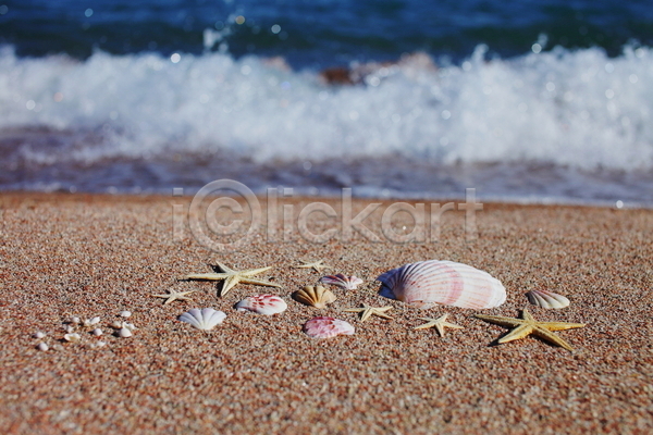 사람없음 JPG 포토 해외이미지 모래 불가사리 야외 여름(계절) 조개껍데기 주간 파도 해변