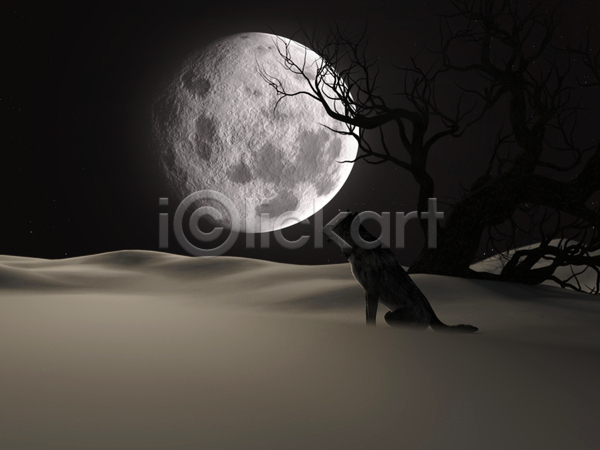 무서움 분노 추위 사람없음 3D JPG 실루엣 일러스트 포토 해외이미지 겨울 공격적 공상 그림자 나무 놀람 늑대 달 달빛 동물 동화 별 보름달 빛 생물 서리 야간 어둠 얼음 오싹 육식동물 자연 하늘 할로윈
