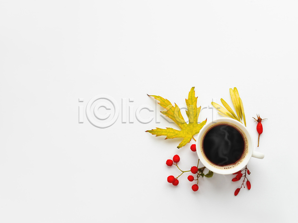 사람없음 JPG 포토 하이앵글 해외이미지 가을(계절) 낙엽 단풍 실내 열매 카피스페이스 커피 흰배경