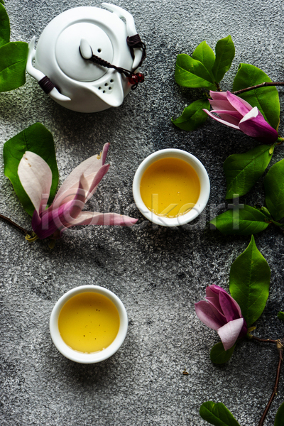 사람없음 JPG 포토 해외이미지 꽃 나뭇가지 잎 차(음료) 찻주전자 회색배경