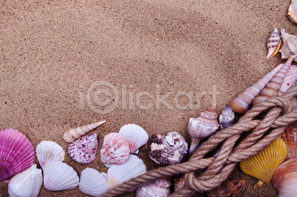 사람없음 JPG 포토 해외이미지 갈색 다양 모래 밧줄 백그라운드 조개껍데기 질감 카피스페이스