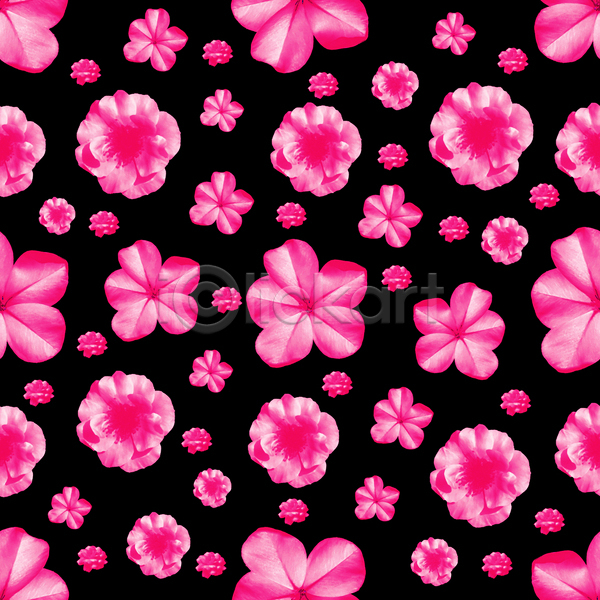 화려 활발 희망 사람없음 JPG 포토 해외이미지 강렬 거울 검은색 꽃 꽃무늬 디자인 디지털 모음 모자이크 무늬 미술 백그라운드 벚꽃 분홍색 스타일 유행 인쇄 자연 장식 직물 컬러풀 패턴 표면