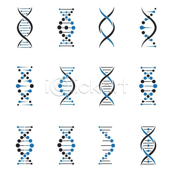 사람없음 EPS 일러스트 해외이미지 DNA 다양 생명공학 유전자구조 이중나선구조 종류