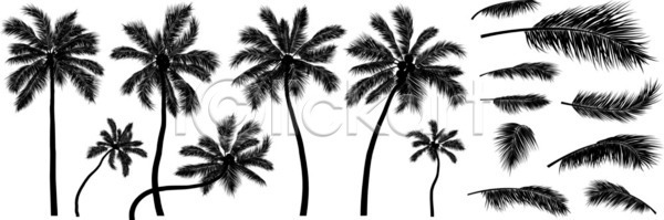 EPS 실루엣 일러스트 해외이미지 검은색 계절 고립 공원 과일 그래픽 그림 나무 나뭇가지 내추럴 농업 디자인 목재 미술 백그라운드 섬 세트 손바닥 숲 스케치 스타일 식물 야외 여름 잎 자연 정원 컨셉 코코넛 파라다이스 하와이 해외일러스트 환경 흰색