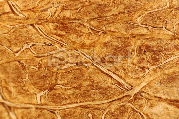 건조 사람없음 JPG 포토 해외이미지 거친 껍질 나무 내추럴 묘사 백그라운드 섬유 손바닥 식물 실내 유기농 자연 질감 코코넛 패턴 표면