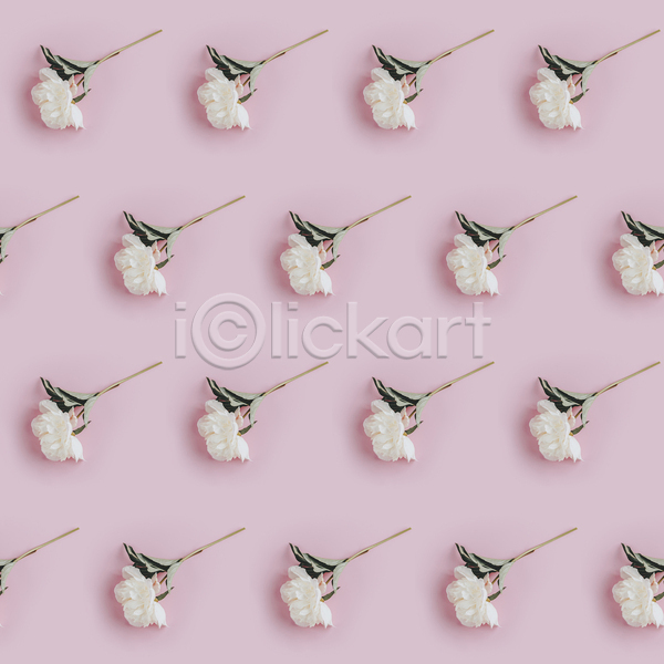 사람없음 JPG 포토 해외이미지 꽃 백그라운드 분홍색 패턴 패턴백그라운드 흰색