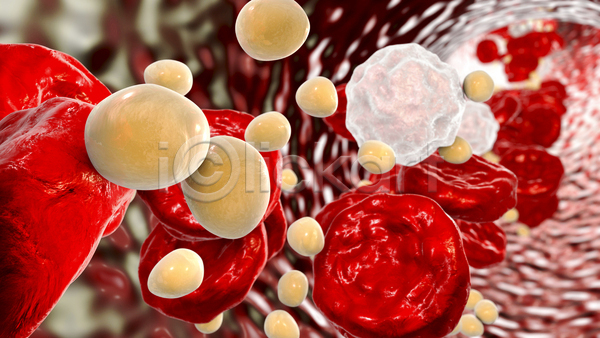 사람없음 3D JPG 포토 해외이미지 백혈구 세포 적혈구 콜레스테롤 혈관 혈구