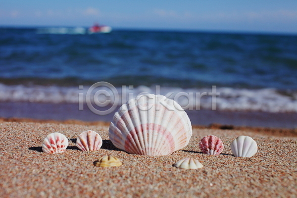 사람없음 JPG 포토 해외이미지 모래 바다 야외 여름(계절) 조개껍데기 주간 해변