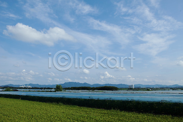 사람없음 JPG 포토 구름(자연) 밭 야외 영천 주간 포도 포도밭 풍경(경치) 하늘
