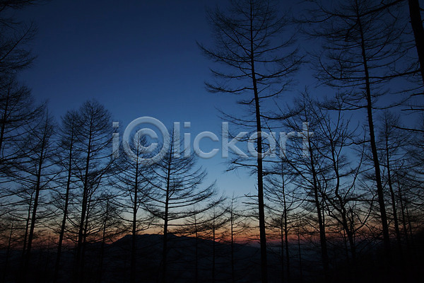 사람없음 JPG 포토 겨울 겨울풍경 나무 만항재 야외 일몰 정선 주간 풍경(경치) 하늘 함백산