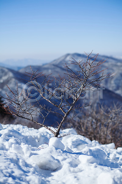 사람없음 JPG 포토 겨울 겨울풍경 눈(날씨) 만항재 산 설경 야외 정선 주간 풍경(경치) 함백산