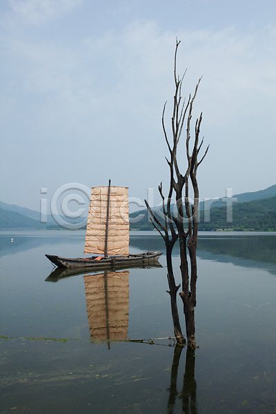 사람없음 JPG 포토 나무 돛단배 두물머리 북한강 야외 양평 자연 주간 풍경(경치) 황포돛배