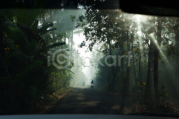 사람없음 JPG 포토 나무 숲길 야외 여행 요그야카르타 인도네시아 주간 해외풍경 햇빛