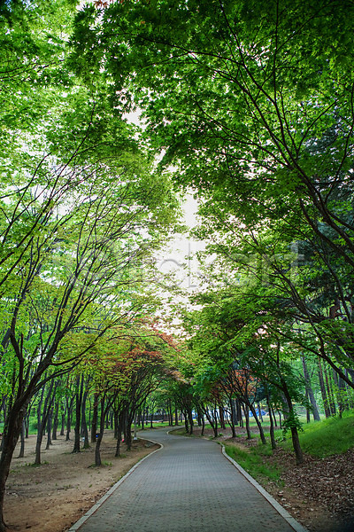 사람없음 JPG 포토 나무 도시풍경 산책로 서울 야외 양재천 주간 하늘