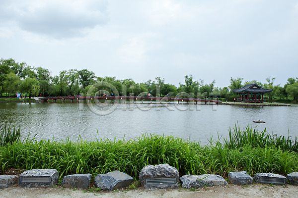 사람없음 JPG 포토 궁남지 나무 돌(바위) 부여 서동공원 야외 연못 주간 풀잎 풍경(경치)