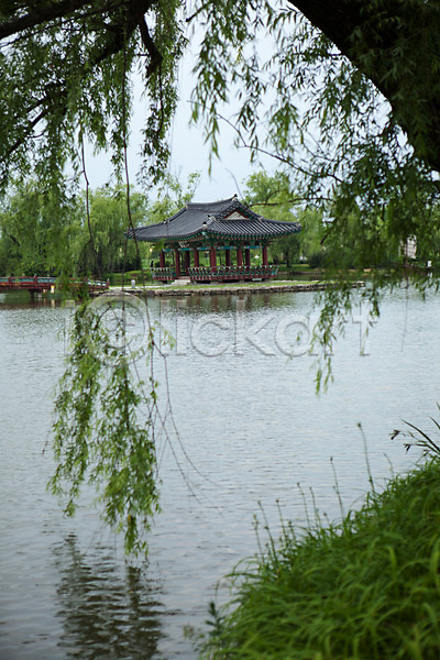 사람없음 JPG 포토 궁남지 나무 나뭇잎 부여 서동공원 야외 연못 주간 풍경(경치)