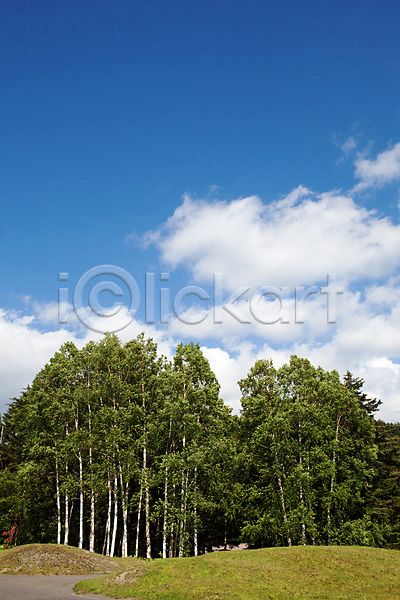 사람없음 JPG 포토 구름(자연) 나무 야외 일본 자연 주간 풍경(경치) 하늘 해외풍경 홋카이도