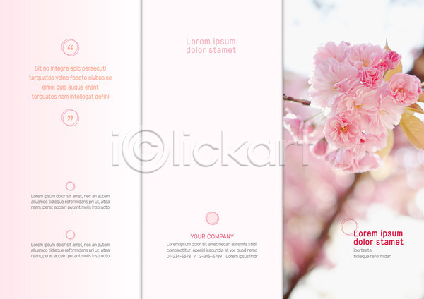 사람없음 AI(파일형식) 템플릿 3단접지 꽃 꽃가지 리플렛 북디자인 북커버 분홍색 출판디자인 팜플렛 표지 표지디자인 화사함