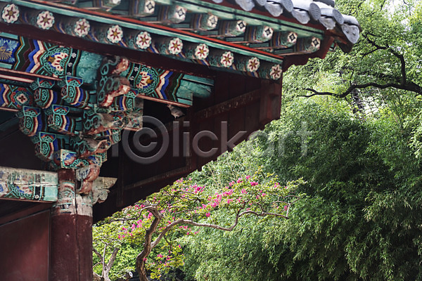 사람없음 JPG 포토 경기전 기와지붕 나무 문화재 배롱나무 야외 여행 전주 전주한옥마을 전통문양 주간 처마 풍경(경치) 한국전통