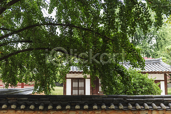 사람없음 JPG 포토 경기전 고건축 기와담장 기와지붕 나뭇가지 문화재 야외 여행 전주 전주한옥마을 전통문화 정원 주간 풍경(경치) 한국전통