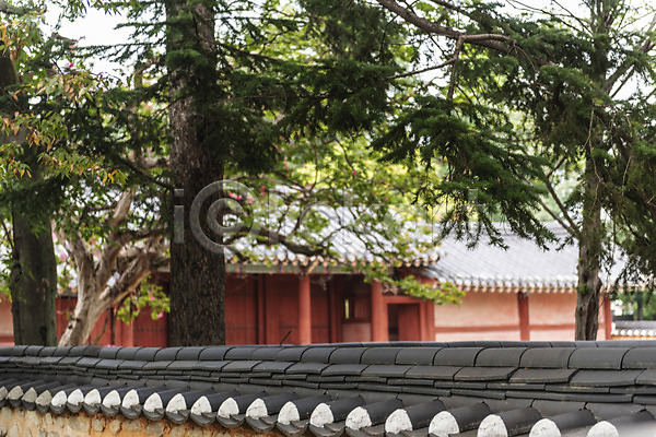 사람없음 JPG 포토 경기전 고건축 기와담장 기와지붕 나무 문화재 야외 여행 전주 전주한옥마을 주간 풍경(경치) 한국전통
