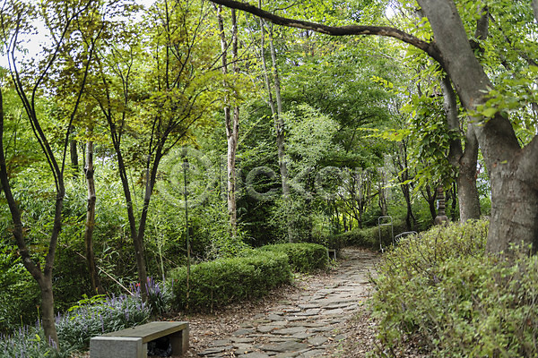 사람없음 JPG 포토 국내여행 나무 둘레길 벤치 산책로 야외 여행 전주 전주한옥마을 주간 풍경(경치) 한국전통