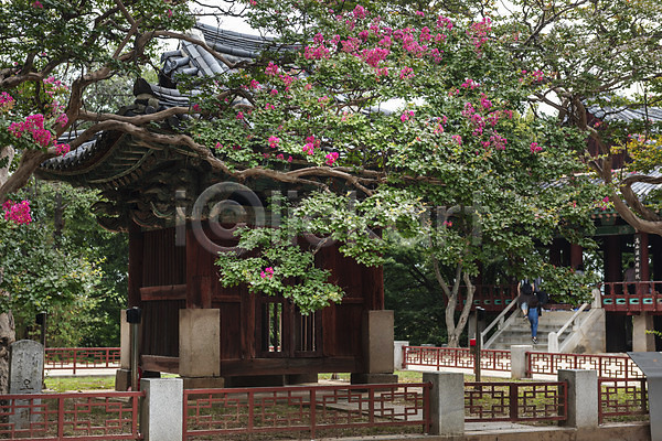 사람없음 JPG 포토 계단 고건축 국내여행 기와지붕 문화재 배롱나무 야외 여행 오목대 전주 전주한옥마을 전통문화 주간 풍경(경치) 한국전통