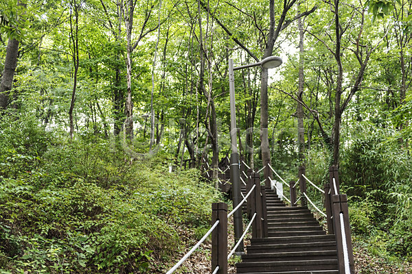 사람없음 JPG 포토 가로등 계단 국내여행 나무 나무계단 둘레길 숲 야외 여행 전주 전주한옥마을 주간 풍경(경치) 한국전통