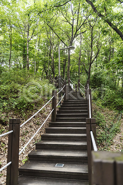 사람없음 JPG 포토 가로등 계단 국내여행 나무 나무계단 둘레길 산책로 숲 야외 여행 전주 전주한옥마을 주간 풍경(경치) 한국전통