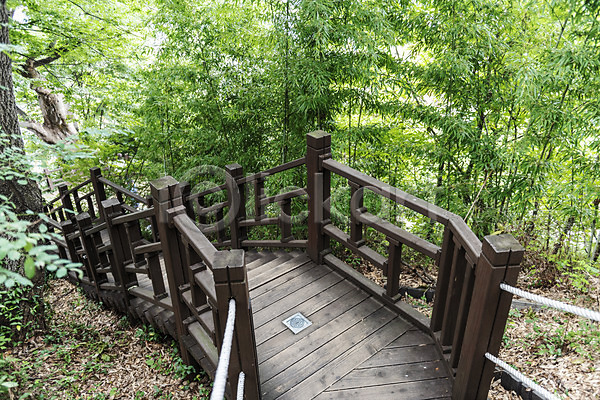 사람없음 JPG 포토 계단 국내여행 나무 둘레길 산책로 숲 야외 여행 전주 전주한옥마을 주간 풍경(경치) 한국전통
