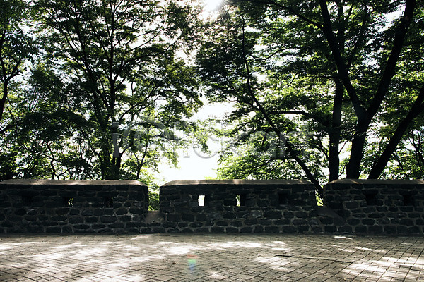 사람없음 JPG 포토 국내여행 그림자 길 나무 남산 돌담길 빛 서울 성곽길 야외 주간 풍경(경치)