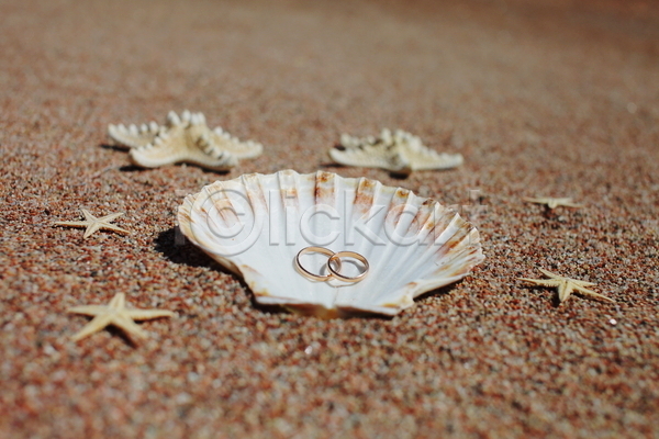 사람없음 JPG 포토 해외이미지 결혼반지 모래 불가사리 야외 여름(계절) 조개껍데기 주간